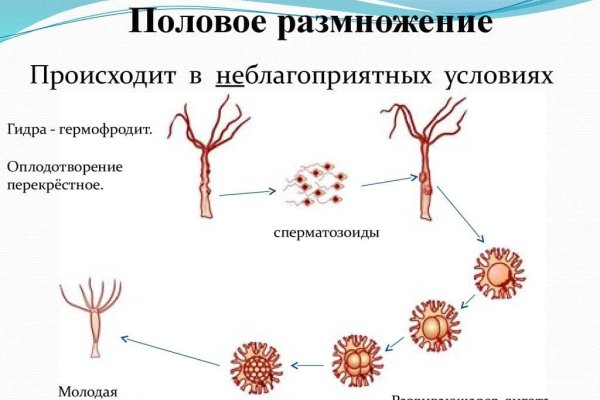 Обмен ссылками мега